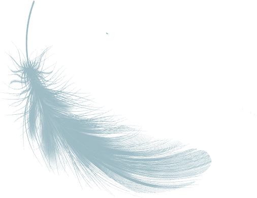 object